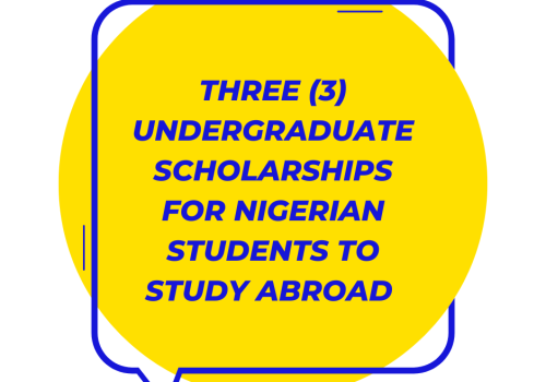 Three-3-Undergraduate-Scholarships-For-Nigerian-Students-to-Study-Abroad