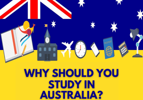 why-should-you